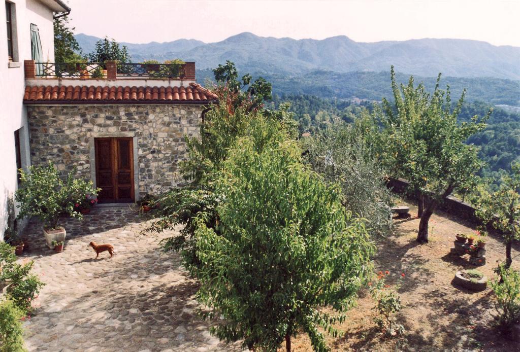 Forni Rosaia Olivola (Massa and Carrara) Exterior foto